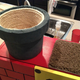 Illustration for article titled No Cat Should Be Without A Mario Warp Pipe Climbing Box
